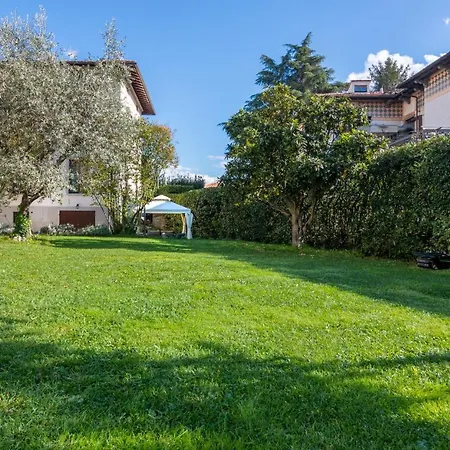 Ricci Lucca