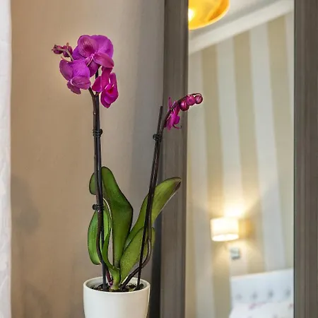 Bed & Breakfast Ricci 3*