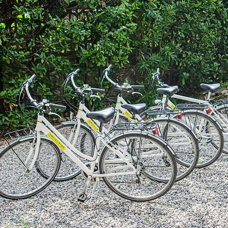 Ricci Lucca